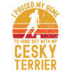 Football and Cesky Terriers