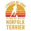 Football et Norfolk Terriers