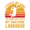 Volleyball et Labrador