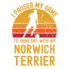 Football and Norwich Terriers