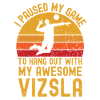 Volleyball and Vizsla