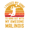 Volleyball et Malinois