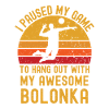 Volleyball and Bolonka