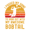 Volleyball and Bobtail