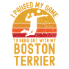 Volleyball and Boston Terriers
