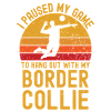 Volleyball et border collie