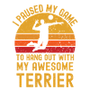 Volleyball and Terriers