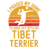 Volleyball and Tibetan Terriers