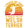 Volleyball and Welsh Terriers