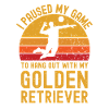 Volleyball et Golden Retrievers