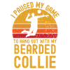 Volleyball and Bearded-Collie