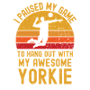 Volleyball and Yorkshire Terriers