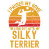 Volleyball and Silky-Terrier