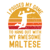 Volleyball et maltais