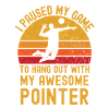 Volleyball and Pointer