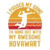 Volleyball and Hovawart