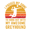 Volleyball et Greyhound