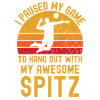 Volleyball et Spitz