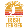 Volleyball and Irish Terriers
