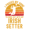 Volleyball and Irish-Setter