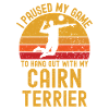 Volleyball and Cairn Terriers
