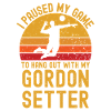 Volleyball and Gordon Setter
