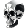 Chrome Skull