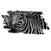 Safari Zebra