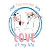 Cats and Pisces Love