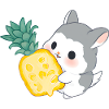 Chinchilla liebt Ananas