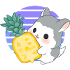 Chinchilla loves pineapple