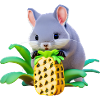 Chinchilla loves pineapple