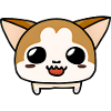 Cute Chihuahua dog