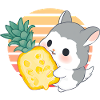 Chinchilla loves pineapple