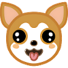Cute Chihuahua dog