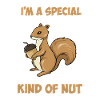 Cute Squirrel