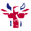 Großbritannien UK Kuh mit Sonnenbrille