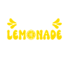 Limonade Geschenkideen