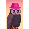 Owl with hat