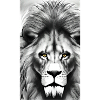 Lion Black and White