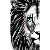 Lion Black and White