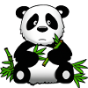 Bébé panda