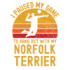 Volleyball and Norfolk Terriers