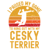 Volleyball and Cesky Terriers