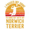 Volleyball and Norwich Terriers