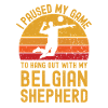 Volleyball et berger belge