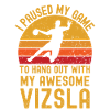Handball et Vizsla