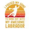 Handball et Labrador