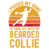 Handball and Bearded-Collie