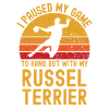 Handball and Russel-Terrier